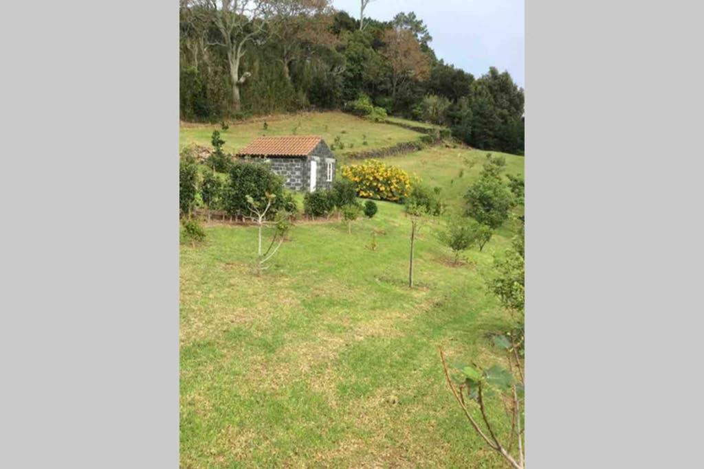 Summer House With Bbq And Garden Horta  Luaran gambar