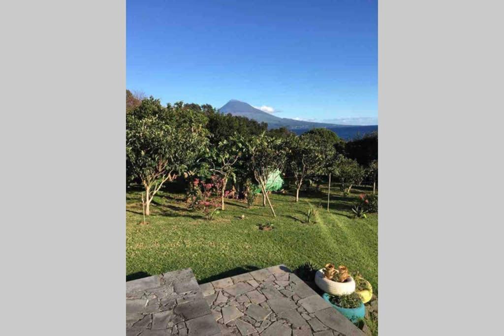 Summer House With Bbq And Garden Horta  Luaran gambar